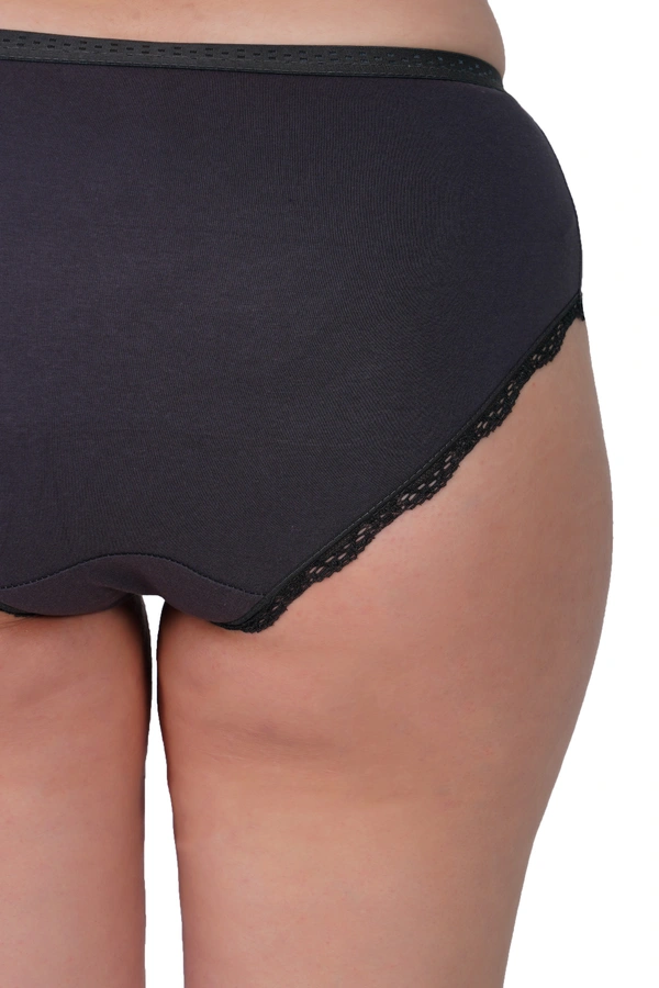 Ladyland Full Coverage Hipster Lace Panty - XL, 100, Multicolor