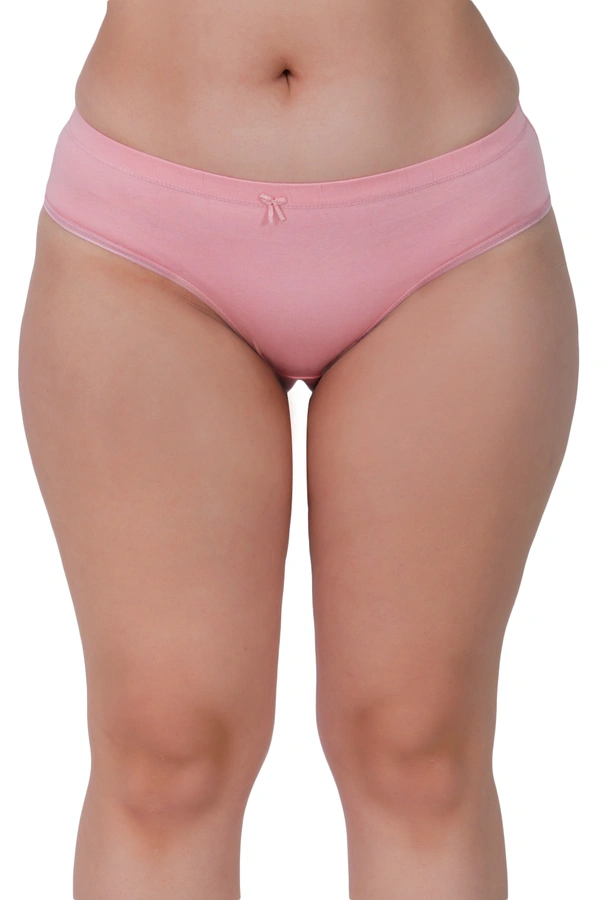 Ladyland Full Coverage Hipster Panty - S, 100, Multicolor