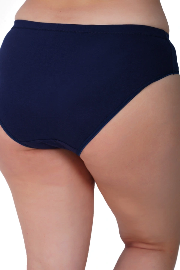 Ladyland Full Coverage Hipster Panty - S, 100, Multicolor