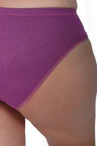 Ladyland Full Coverage Hipster Panty - XXL, 100, Multicolor