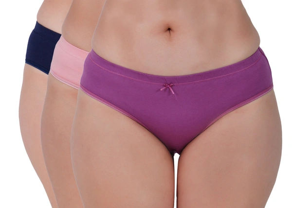 Ladyland Full Coverage Hipster Panty - XL, 100, Multicolor