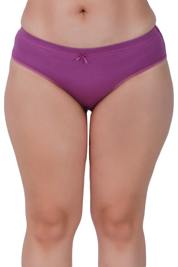 Ladyland Full Coverage Hipster Panty - XL, 100, Multicolor