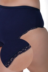 Ladyland Full Coverage Hipster Lace Cotton Panty - L, 100, Multicolor