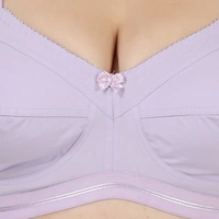 Ladyland Women T-Shirt Non Padded Bra - 36C, Purple