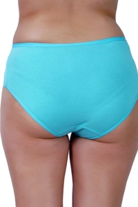 Ladyland Full Coverage Hipster Solid Panty - 4XL, 100, Multicolor