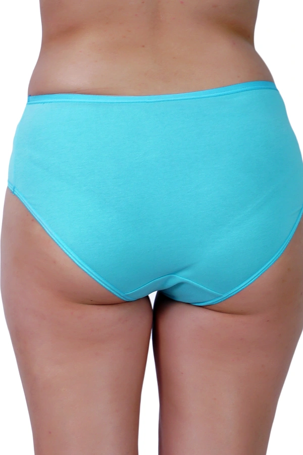Ladyland Full Coverage Hipster Solid Panty - 4XL, 100, Multicolor