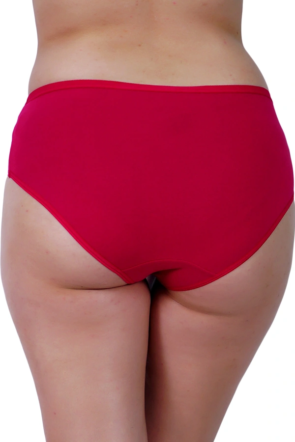 Ladyland Full Coverage Hipster Solid Panty - 4XL, 100, Multicolor