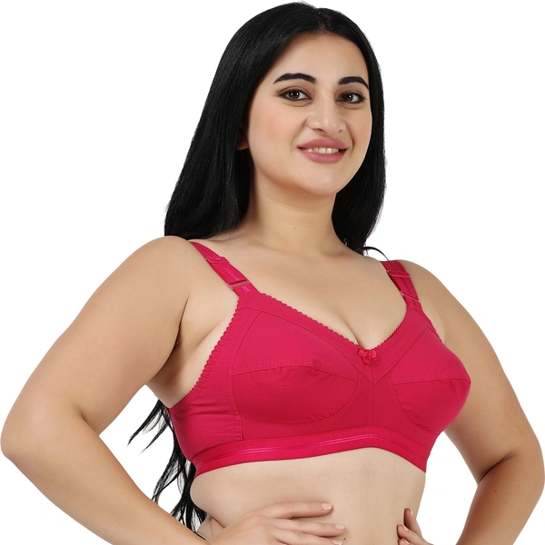 Ladyland Full Coverage Non padded Cotton Bra - 34C, No, Western Wear, PAck Of 2, Maroon::Maroon