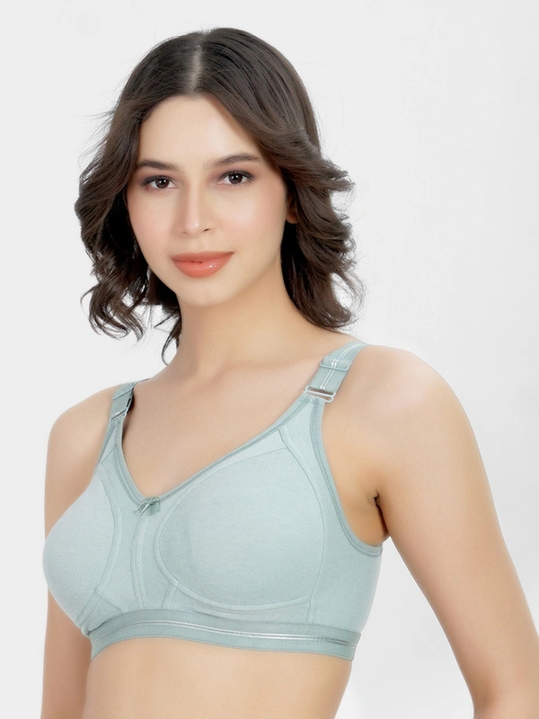 LADYLAND Women Full coverage  back 4 Hook bra - 32C, 100, GREEN, 1 BRA, All DAYS, N/A