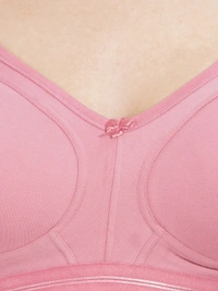 LADYLAND Women Full coverage  back 4 Hook bra - 32C, PEACH