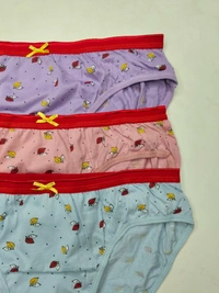 Ladyland  DIL SE  - XL, 100, multicolor, 3