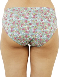 Ladyland LD0088+62-S-4XL - L, Multicolor, Pack Of 6 Panty Combo set, Ethnic Wear