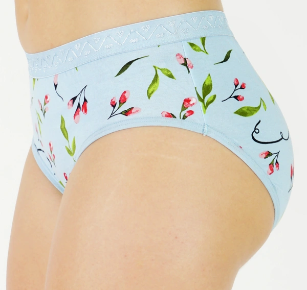 Ladyland LD0088+ZOYA(S-3XL) - S, Multicolor, Pack Of 6 Panty Combo set, Ethnic Wear