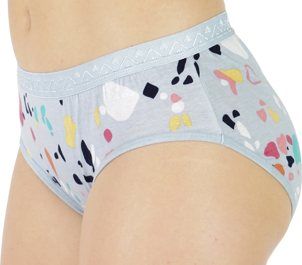 Ladyland LD0088+89(S-4XL) - M, Multicolor, Pack Of 6 Panty Combo set, Ethnic Wear