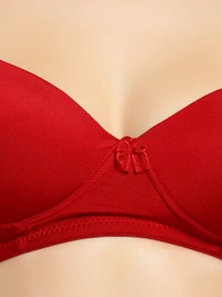 Ladyland Padded Mould Cup Seamless Lingerie set - 34B, Maroon