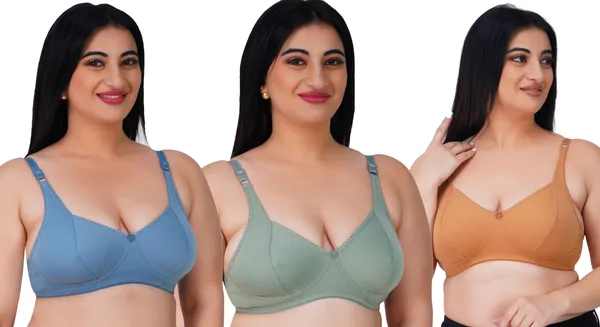 Ladyland Full Coverage Mould Cup Back 4 Hook Bra - 34c, No, Western Wear,  1, Maroon - Lady Land Incorporation at Rs 335/piece, New Delhi