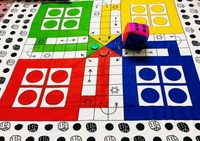 100% Comfy Double Bedsheet With Dice and Goti