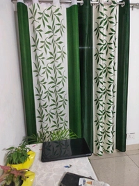 Printed Door Curtain - Printed Door Curtain vol 3