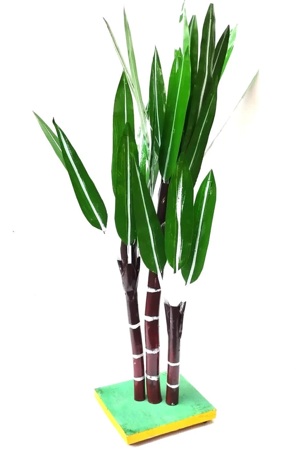 Simonart and Printing Sugarcane Tree 2 Ft - 2 Ft, 0.8