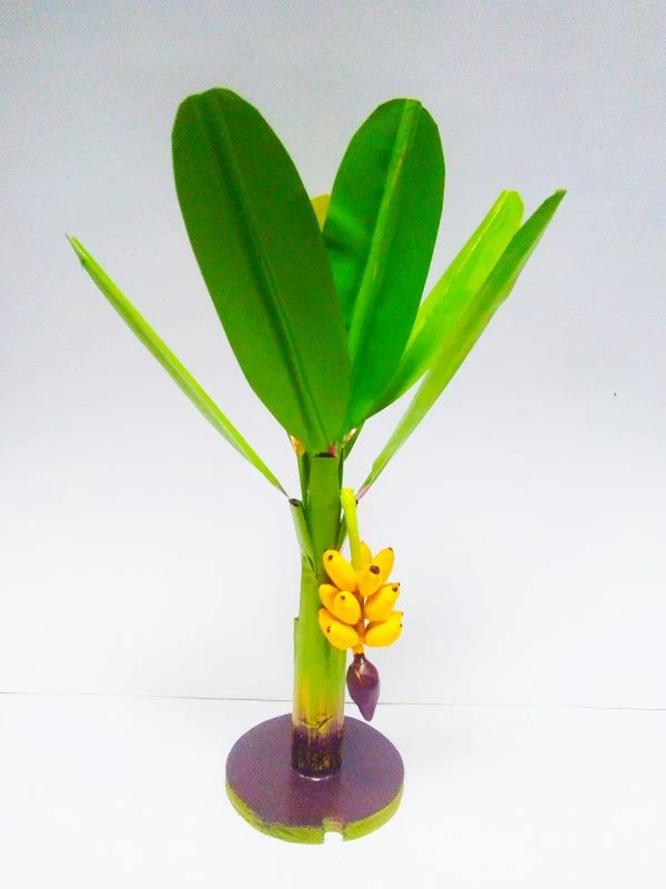 Simonart and printing simonart and printing banana tree handicrafts - 100.0, 35cm25cm25cm