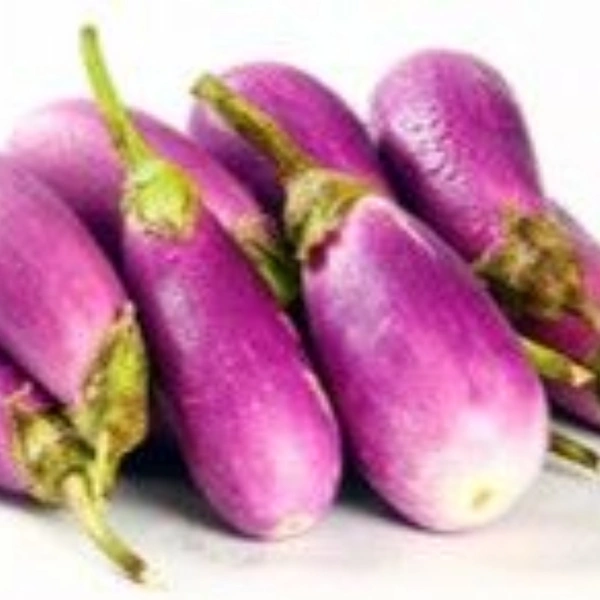Fresho Brinjal Goldi/बैंगन कलौजी - 1 Kg