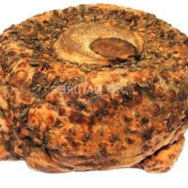 Fresho Elephant Foot Yam / Suran - 1Kg