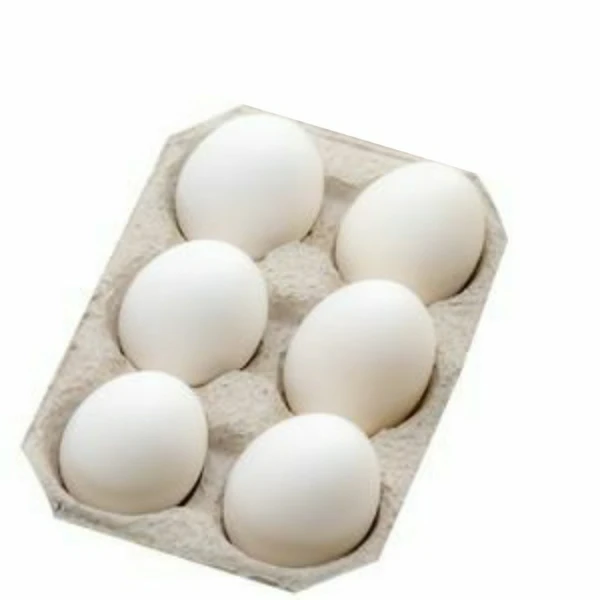 Fresh  Eggs - 6 Pieces 