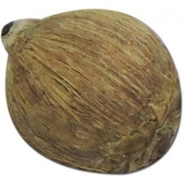 Dry Coconut / Hawaii Nariyal 