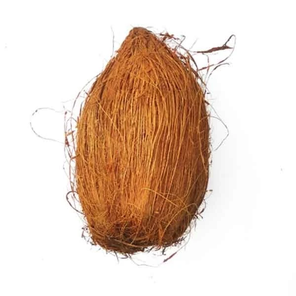 Raw coconut /  Nariyal Pani Jatadar - 1 Pc.