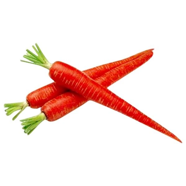 Fresho Carrot Red/गाजर लाल  - 1 Kg