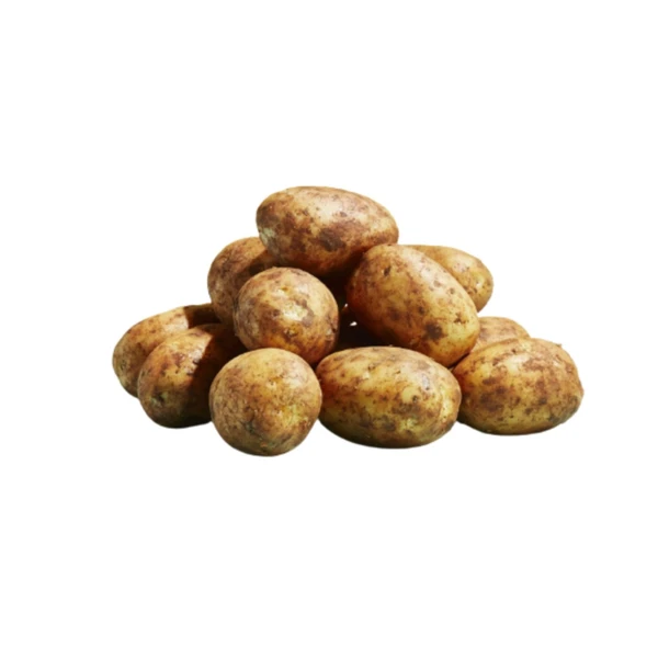 Fresho White Potato /सफेद आलू - 1kg