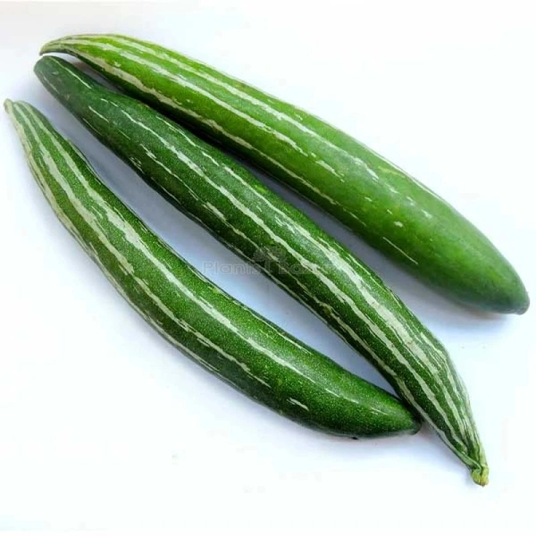 Fresho CHICHINDA - 500Gm
