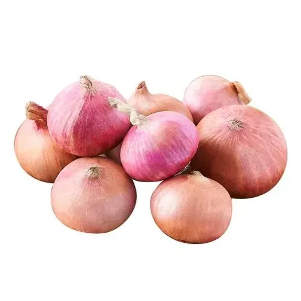 Onion (Vengayam)