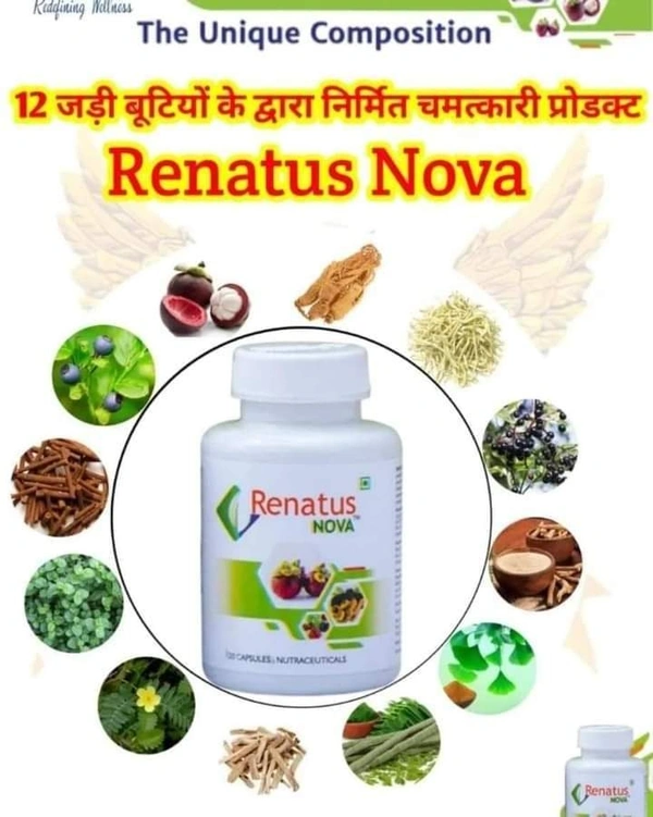 Renatus Nova - 1