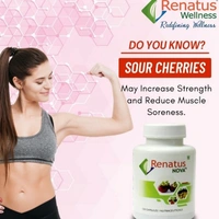 Renatus Nova Wellness