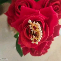 Twinkling Charming Nosering