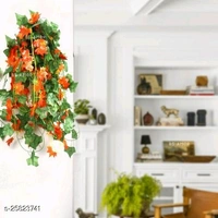 Attractive Plants