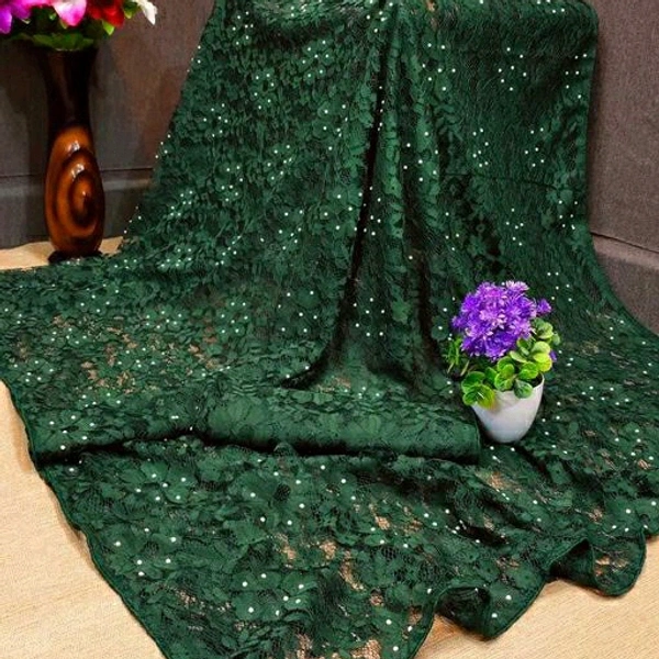 Diziners Net Saree