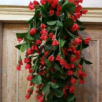 Fancy Plants
