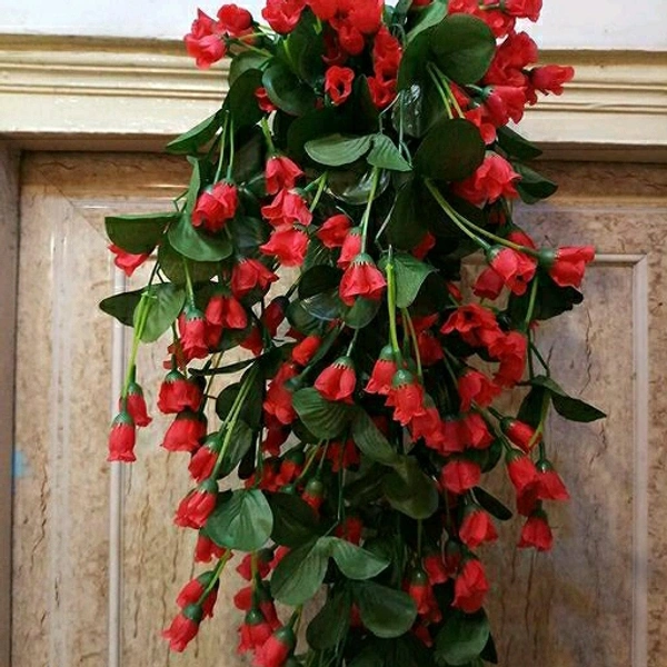 Fancy Plants