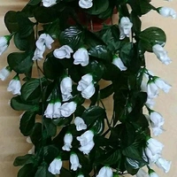 Fancy Plants