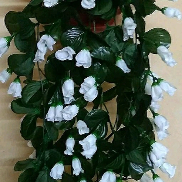 Fancy Plants