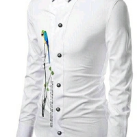 Men Febrik Stylish Shirt