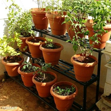 Unique Pots And Plants