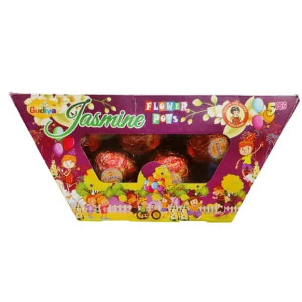ASHRAFI FLOWER POT
