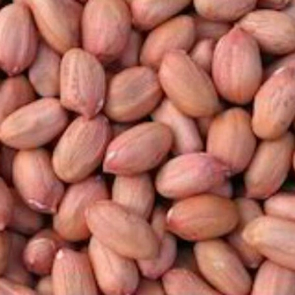Singdana (Groundnut) - 500gm