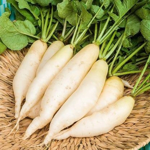 Radish - 1kg