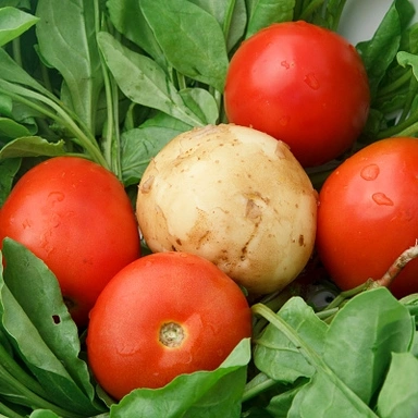 Fresh Vegitables