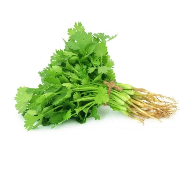 Coriander-hara Dhaniya-100gm - 100GM