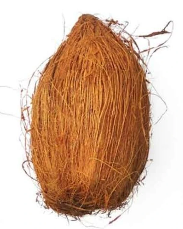 Coconut (Nariyal)-1pc - 1PC